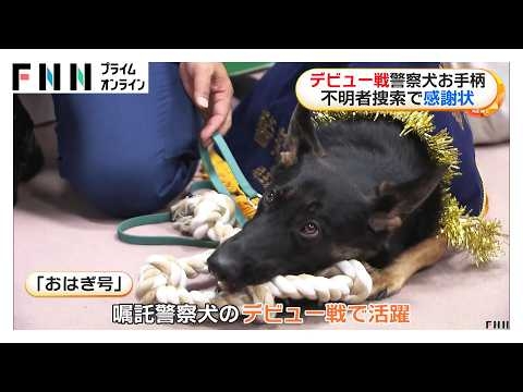 デビュー直後の警察犬ジャーマンシェパード「おはぎ号」がお手柄　さいたま市の介護施設から行方不明の80代女性を早期発見（2026年06月23日）