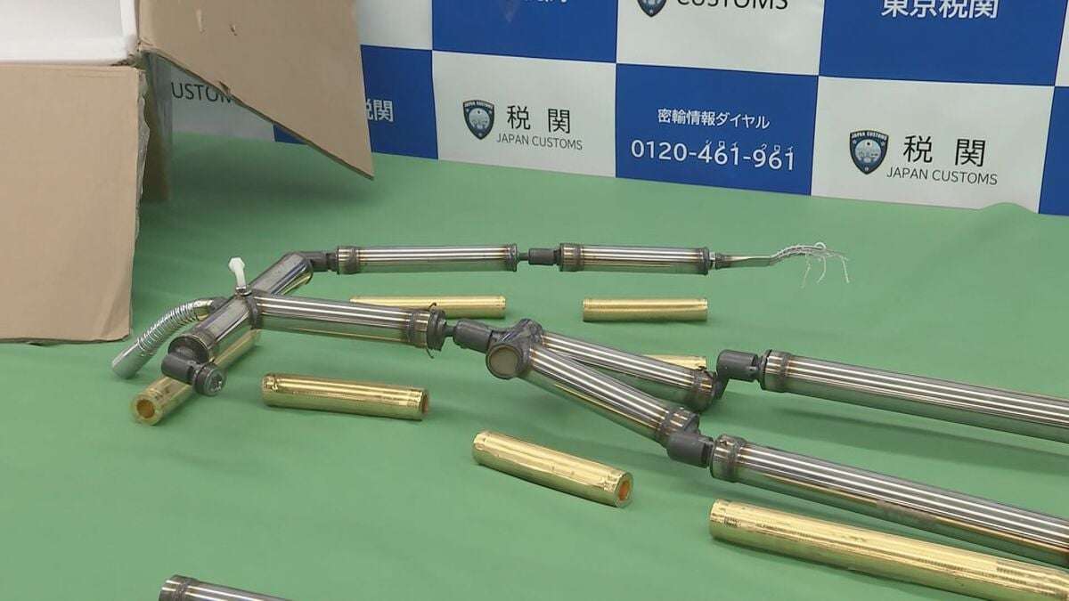 【速報】金を等身大サイズの人形に隠し中国から密輸しようとしたか 中国籍の男ら6人を逮捕　金価格の高騰を背景に金の密輸が急増 中国人Gによる組織的な犯行か　警視庁 | TBS NEWS DIG (1ページ)