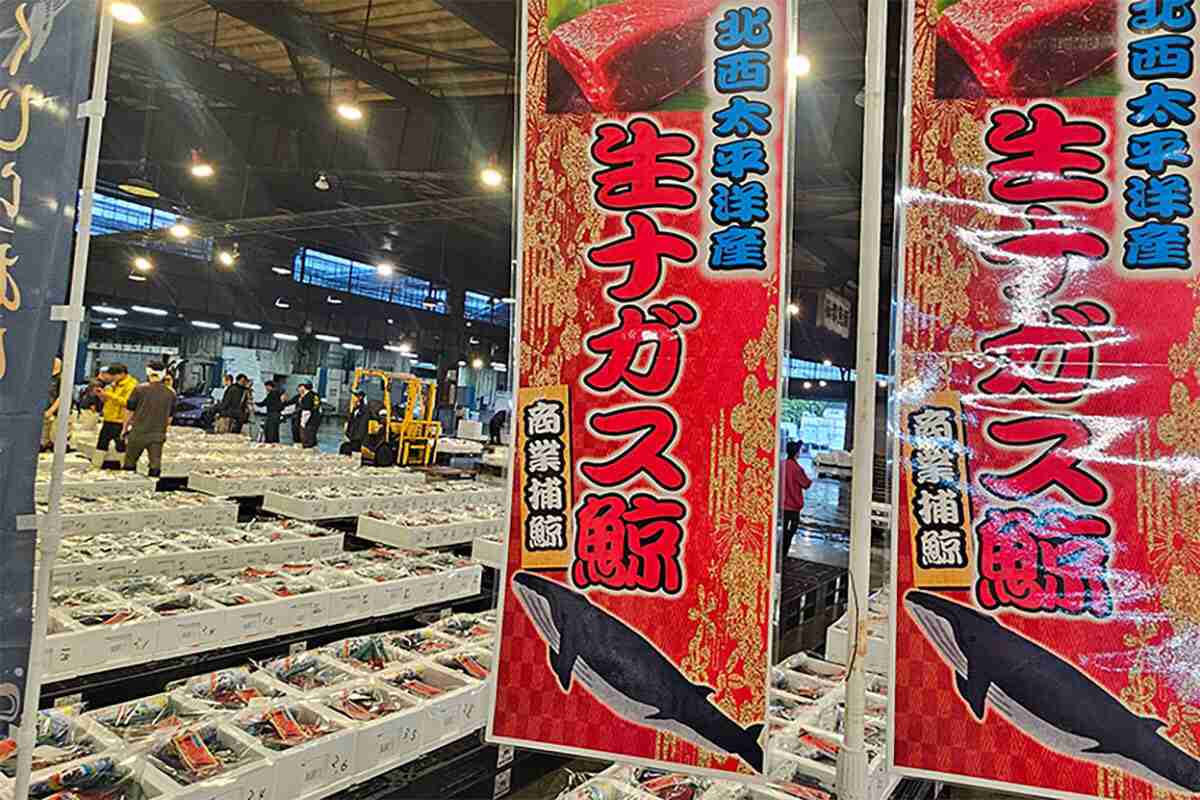 若者がドンキで「クジラの刺し身」を買う時代に…「鯨肉」が再び“身近な食材”になった背景とは | デイリー新潮