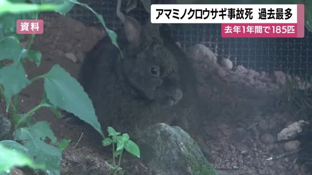 ニュース・スポーツ | ＫＴＳ鹿児島テレビ