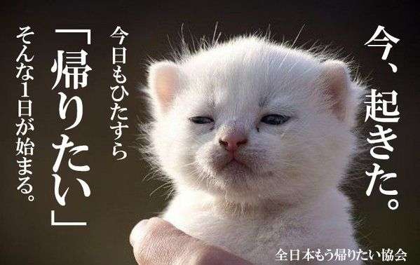 仕事が出来なくて悩んでる人同士で話しませんか?part2