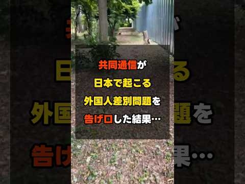 共同通信が日本で起こる外国人差別問題を告げ口した結果⋯