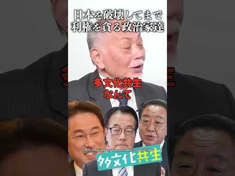 日本を破壊してまで利権を貪る政治家達 #加賀孝英 #岡田克也 #岸田文雄 #多文化共生