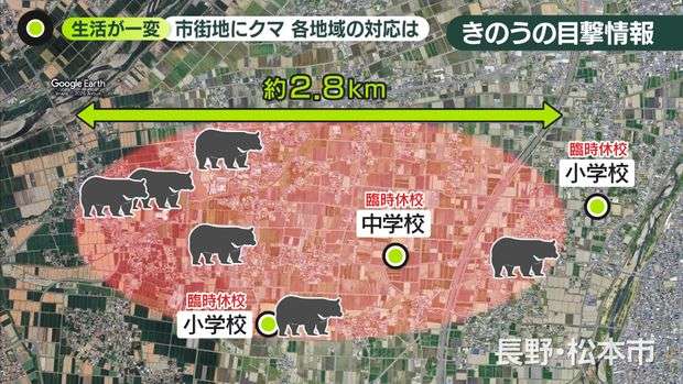 宇都宮のクマは2頭以上か…生態から「疑問」専門家も　学校生活にも影響…一律の基準作った岩手・盛岡市