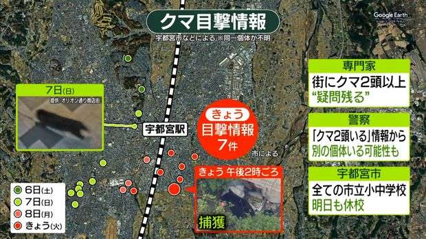 宇都宮のクマは2頭以上か…生態から「疑問」専門家も　学校生活にも影響…一律の基準作った岩手・盛岡市