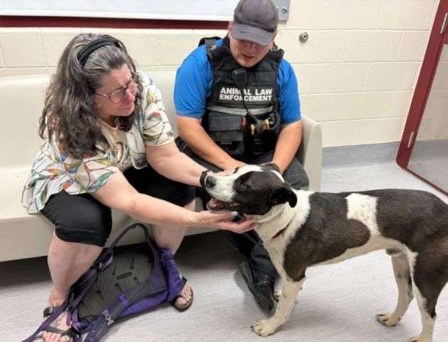 コヨーテの群れと行動を共にしていた行方不明の飼い犬が11か月ぶりに家族と再会