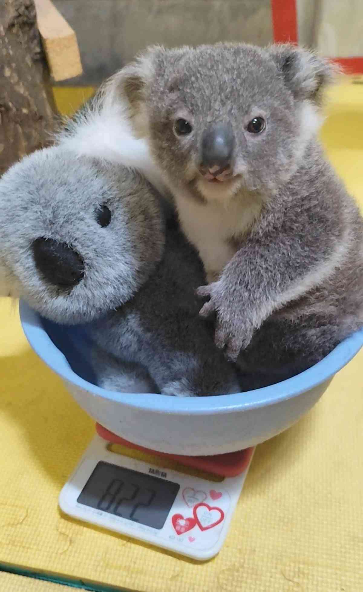 思わず微笑んじゃう画像