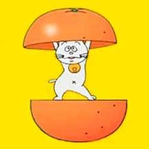 好きな食器用洗剤と香り