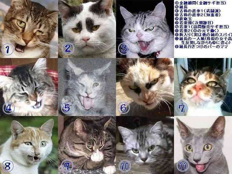 悪い顔しちゃうよ選手権