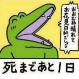 見てきた処置室に入ったらまずエコーしましょうと言われ、エコーで見たら腹水が無... | ガールズちゃんねる - Girls Channel -