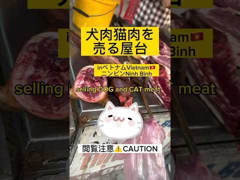 [衝撃]犬猫の肉を売る屋台　ベトナム・ニンビン　#shorts