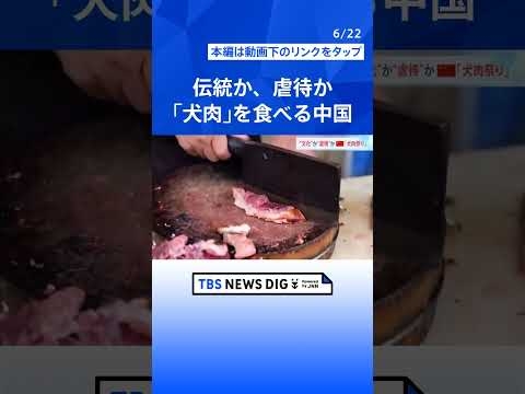 「犬肉」を食べる中国…伝統？虐待？「一口食べてみなよ」　韓国では今年から禁止｜TBS NEWS DIG