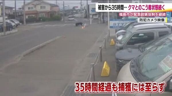 福島市で4人を襲った熊　1日以上工場に居座り膠着状態続く　クマは興奮冷めず？麻酔銃や箱わなで捕獲へ　｜FNNプライムオンライン