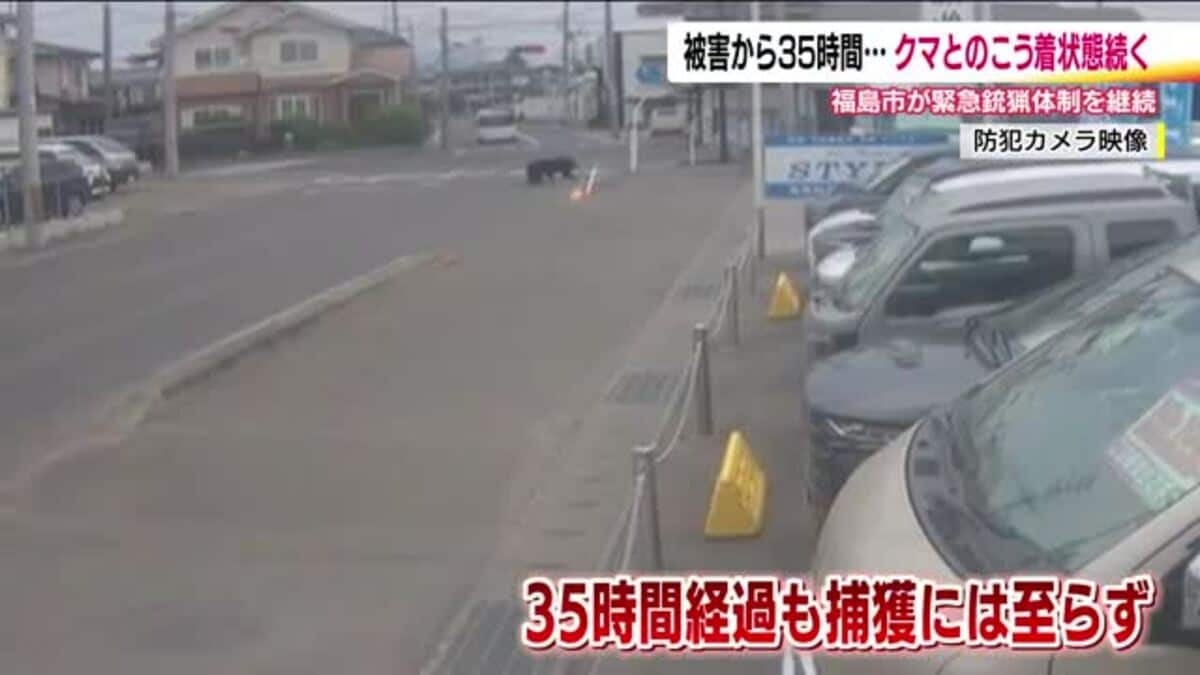 福島市で4人を襲った熊　1日以上工場に居座り膠着状態続く　クマは興奮冷めず？麻酔銃や箱わなで捕獲へ　