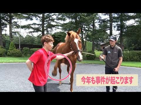 オルフェーヴルと再会で2年連続事件が！＆謙ちゃんの宿敵・キタサンブラックも登場