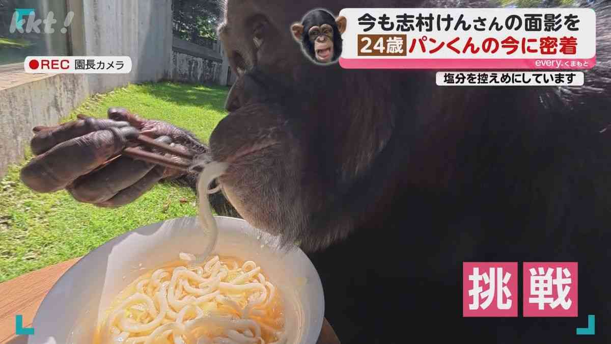 人気番組に出演していた天才チンパンジー「パンくん」は今…当時のスタッフと再会、今も追う志村けんさんの面影