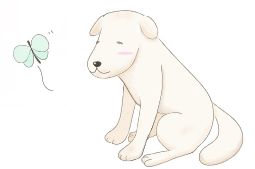 歳をとると丸くなる？それとも短気になる？