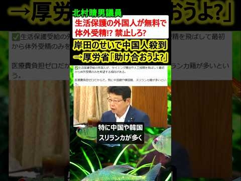 北村議員「生活保護の外国人が無料の体外受精に殺到? 禁止しろ」→厚労省「ムリw」