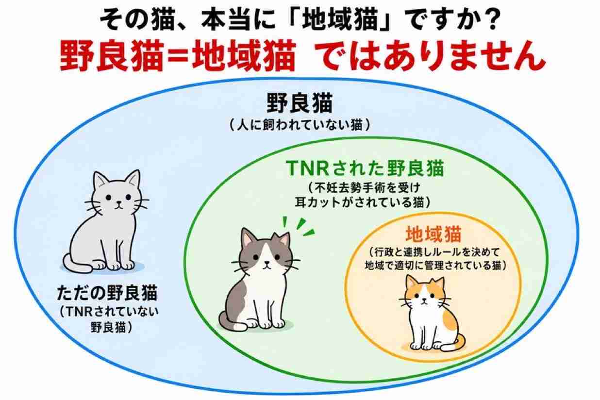 【独自】生態系対策、イエネコ追加へ　環境省、希少種の捕食などで