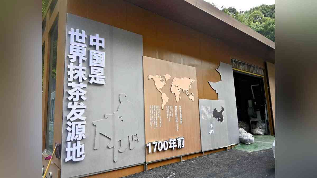 世界的ブームの抹茶「中国が発祥の地」とアピール、世界生産７割を占め「日本を凌駕することを願う」 : 読売新聞