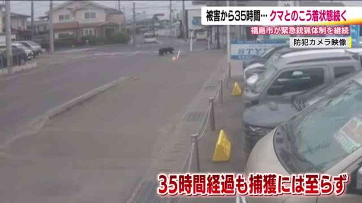 福島市で4人を襲った熊　1日以上工場に居座り膠着状態続く　クマは興奮冷めず？麻酔銃や箱わなで捕獲へ　