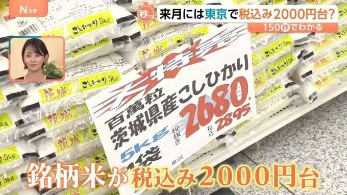 “物価高の象徴”コメ価格に変化が…下落が続き7月には2000円台に?【Nスタ解説】
