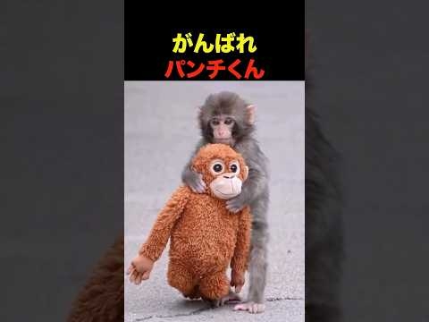 がんばれパンチくん