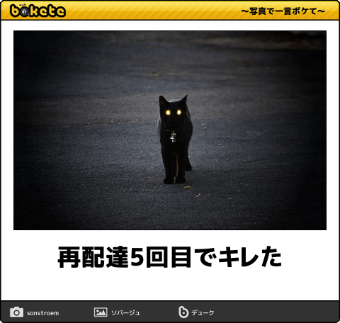 ある宅配業者の担当者から「最近日中家にいますよね、妊娠したんですか?」など、私生活の詮索・セクハラ・容姿への指摘が繰り返されていたので本社にクレームを入れた