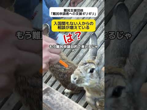 【は？】難民支援団体｢難民申請者への支援ギリギリ｣ #shorts