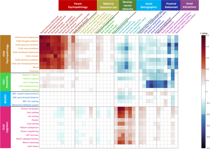 Parental and social factors in relation to child psychopathology, behavior, and cognitive function | Translational Psychiatry