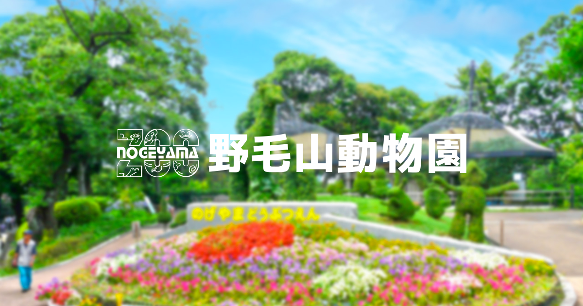 野毛山動物園のリニューアルに伴う動物の移動について|お知らせ|野毛山動物園公式サイト｜公益財団法人 横浜市緑の協会