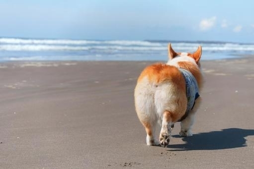 お尻を大きくするには