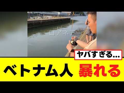 【衝撃】日本でベトナム人がスリングショットを使って暴れる