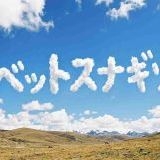>>454お似合いだと思う | ガールズちゃんねる - Girls Channel -