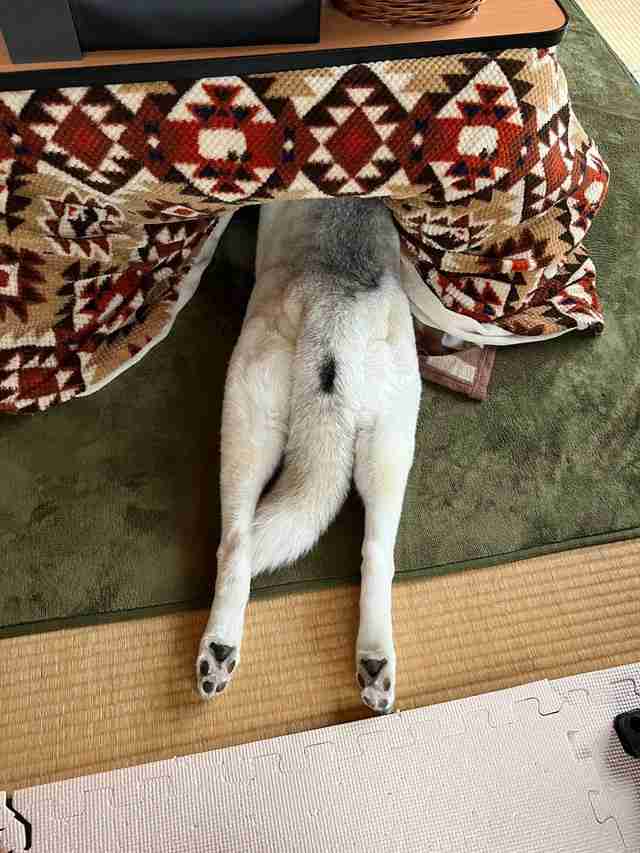 思わず微笑んじゃう画像