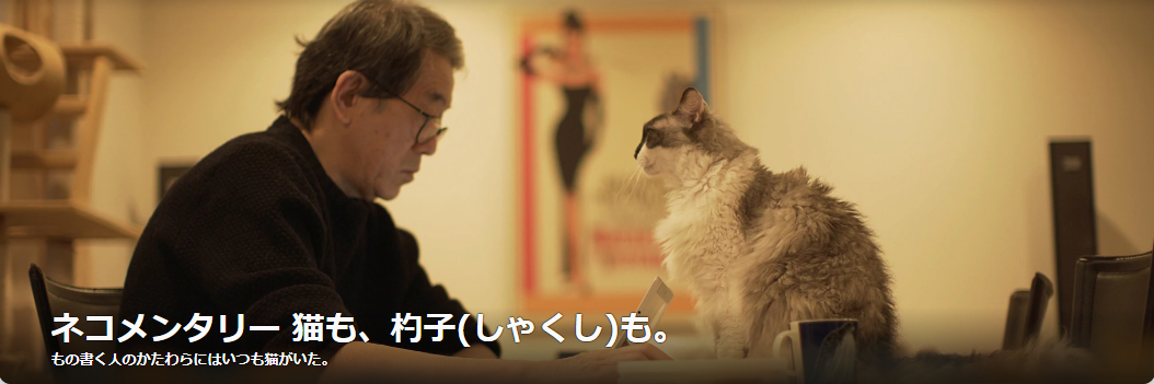 脚本家・尾崎将也さん死去 66歳　『結婚できない男』『連続テレビ小説 梅ちゃん先生』など手掛ける