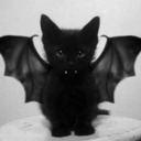  Psychopathic types — World of an ENTP