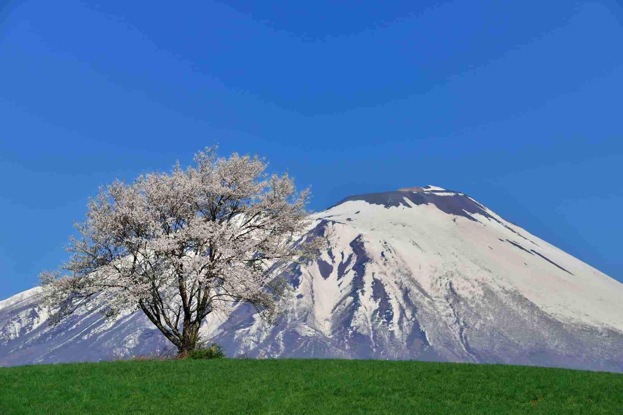 好きな「山」は何ですか?
