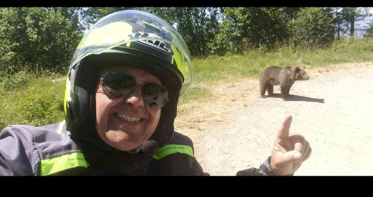 イタリア人バイカーが野生のヒグマと自撮り後、襲われてかみ殺される | 東スポWEB