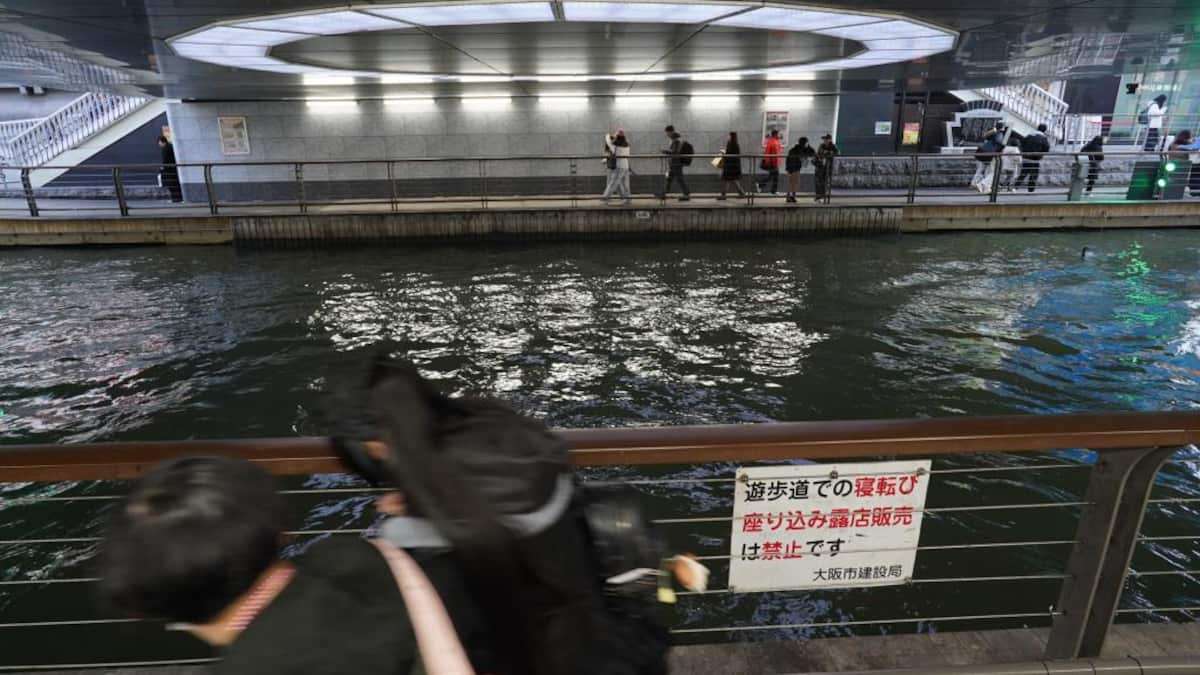 自宅に大量の薬を保管、容疑でグリ下の「薬屋さん」逮捕　生活保護受け2年間で2万錠処方 - 産経ニュース