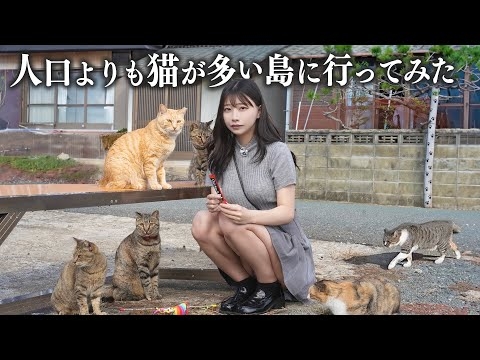 人口より猫が多い猫島に行ったら、想像以上に猫まみれだった...