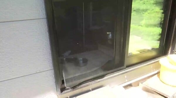 クマが網戸を破り住宅に侵入　クマに追いかけられる飼い犬を家の中に保護した直後　岩手・釜石市｜FNNプライムオンライン