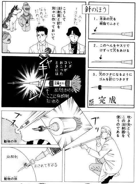 【最新】宇都宮のクマ、麻酔銃３発目が命中し捕獲　民家敷地