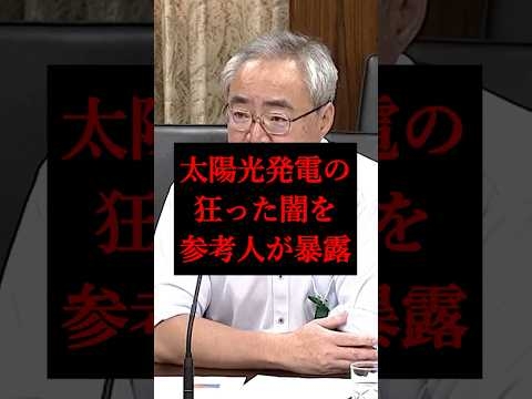 【太陽光の闇】参考人に完全に暴露されてしまう…「まったく受け入れられない」【参議院/杉山参考人】