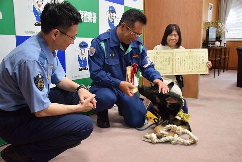 警察犬「おはぎ」初仕事でお手柄…行方不明の80代女性を発見、夜の街を30分追跡　普段は甘えん坊　家族のように育てた指導士も笑顔｜埼玉新聞｜埼玉の最新ニュース・スポーツ・地域の話題