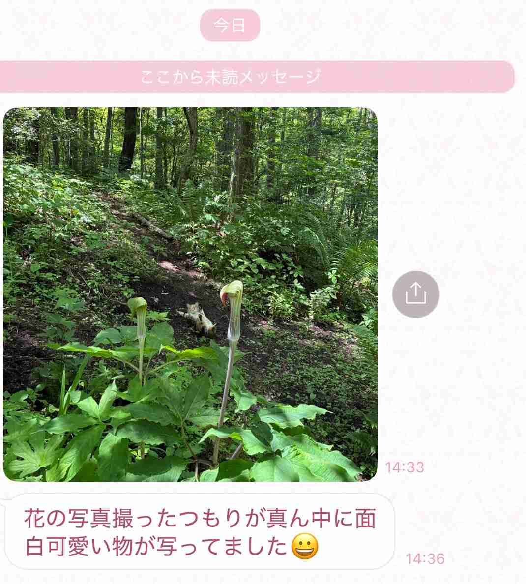おばあちゃんから「花の写真撮ったつもりが真ん中に面白可愛い物が写ってました」と最高の連絡がきて、最高の気分→「なんやこの表情」「あまりにも尊い」