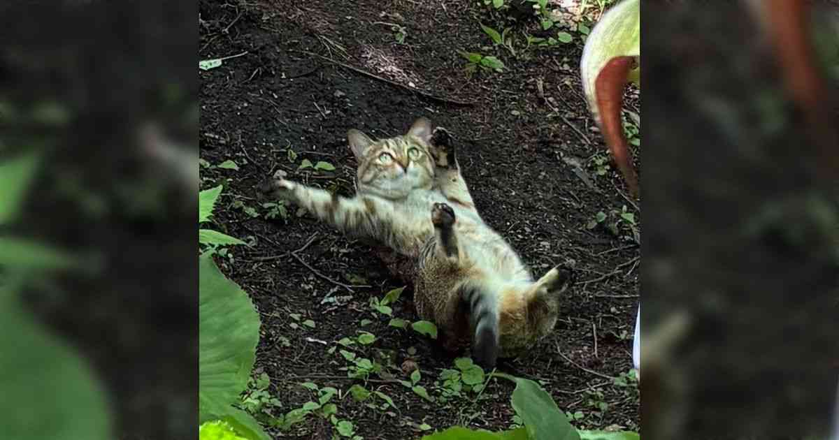 おばあちゃんから「花の写真撮ったつもりが真ん中に面白可愛い物が写ってました」と最高の連絡がきて、最高の気分→「なんやこの表情」「あまりにも尊い」 - Togetter