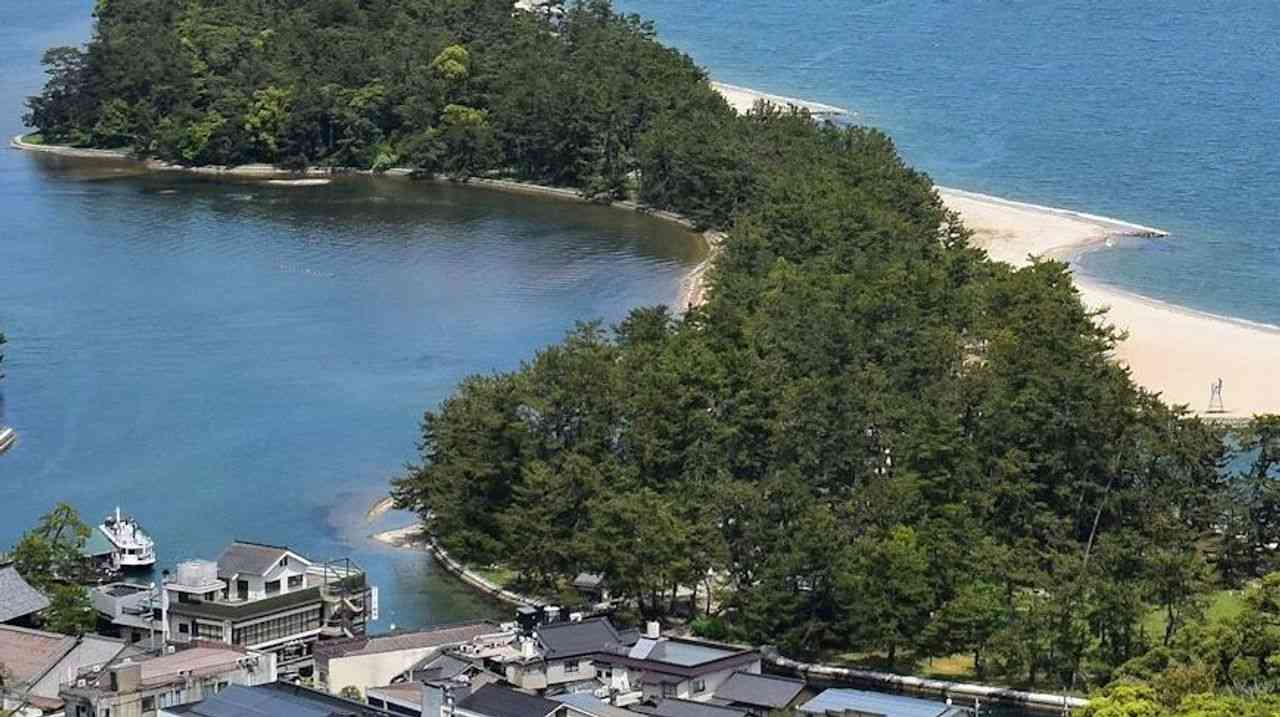 天橋立で「クマいる」 署員ら監視 - Yahoo!ニュース