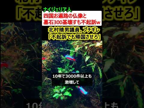 ナイジェリア人「お遍路の仏像と墓石300基を壊すも不起訴w→北村議員「帰国させろ」