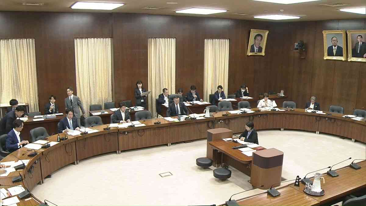 衆議院比例代表45議席の定数削減　野党5党がそろって反対（2026年6月16日掲載）｜日テレNEWS NNN